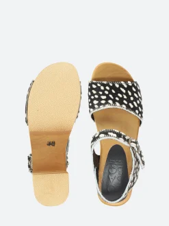 Bosabo - 484 in Noir Pony