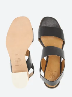 Coclico - Bedford in Black Talco