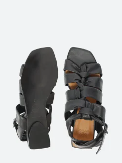 Coclico - Flair in Black