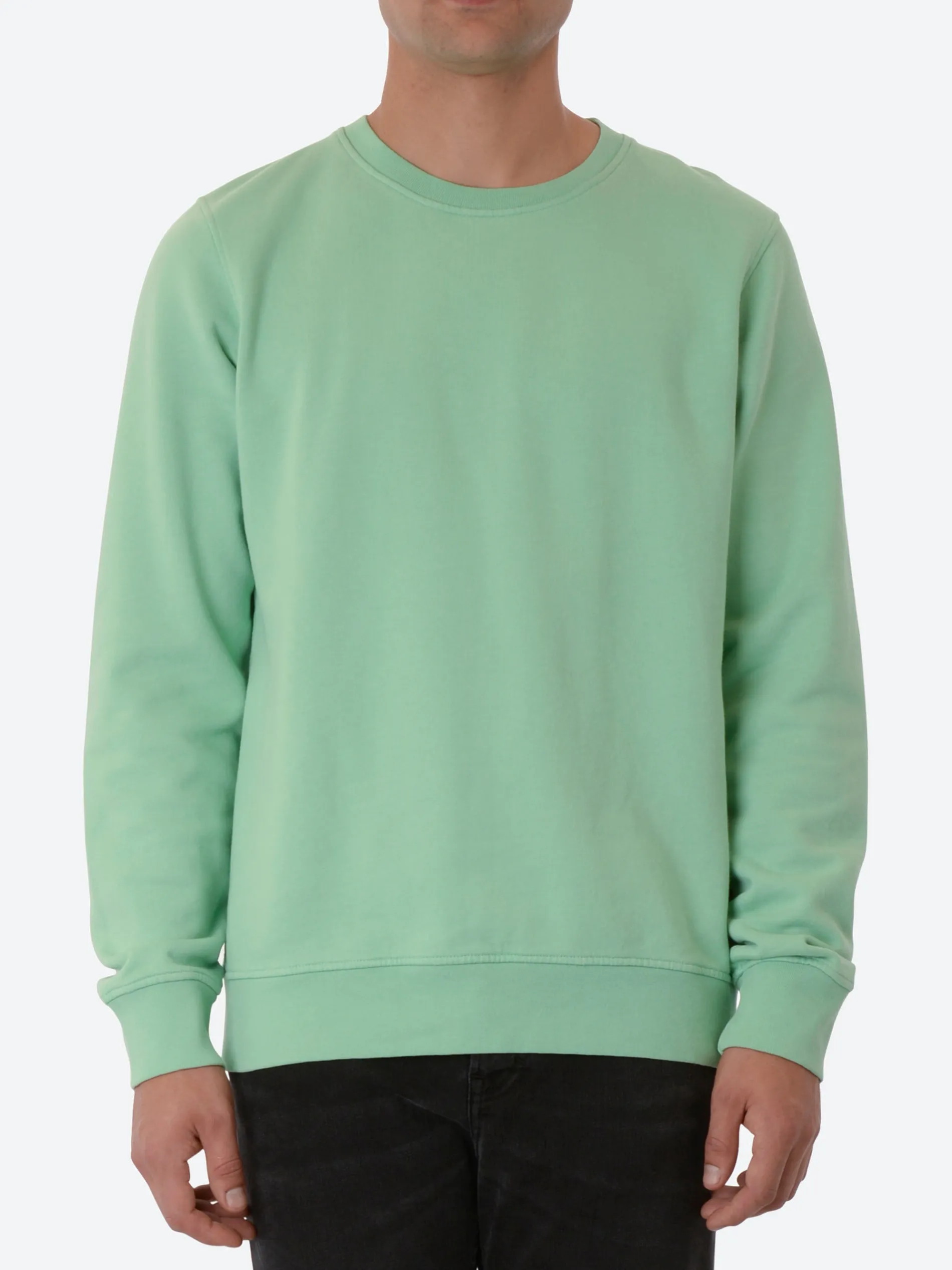 Colorful Standard - Classic Organic Crew in Faded Mint