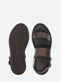 gravitypope - Orane in Tdm Tcapo