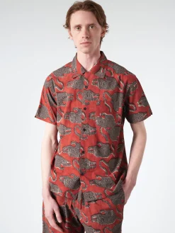 Kardo - Chintan Shirt in Chocolate