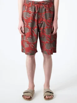 Kardo - Milo Shorts in Chocolate