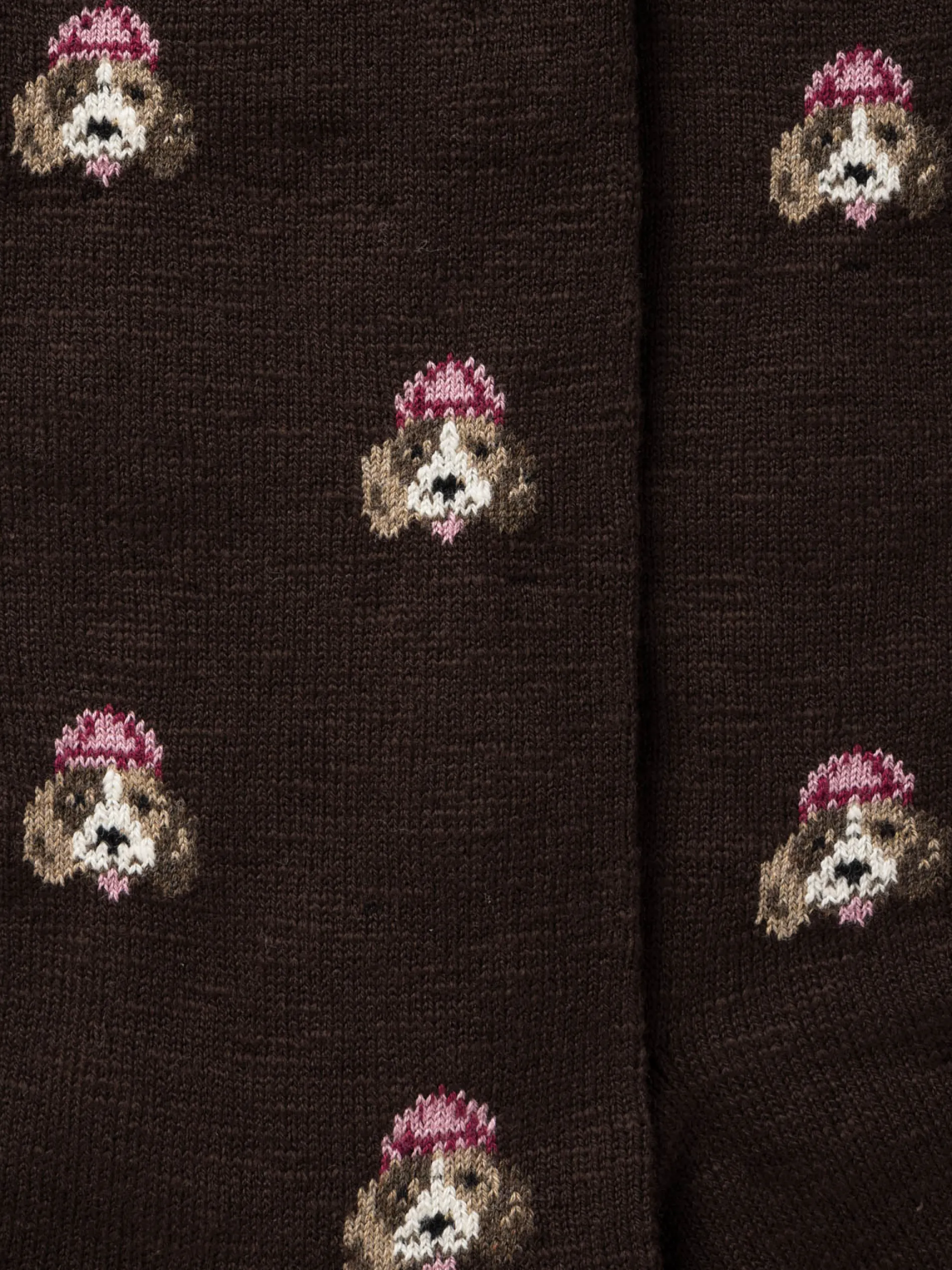 Royalties Paris - Elliot Beagle Socks in Chocolat