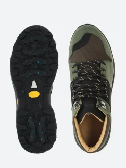 Sesa - Anchorage in Olive