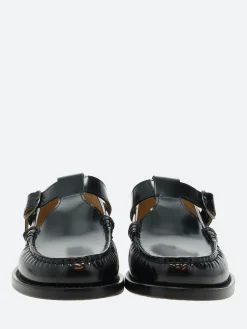 Sesa - Boston in Licorice