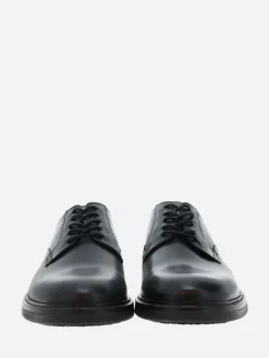 Shoe the Bear - Stanley Derby in Black