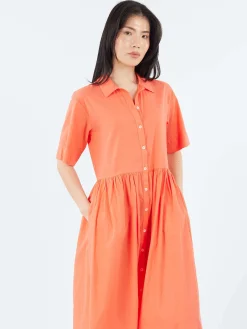 Xirena - Dayton Dress in Sugar Poppy